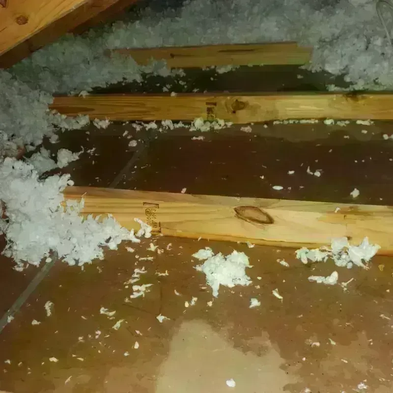 Attic Water Damage in Balfour, NC